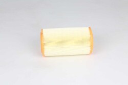 Citroen Berlingo 1.9 D Hava Filtresi - BSG