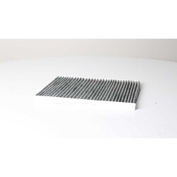 Opel Omega 2.5 V6 Polen Filtresi - BSG