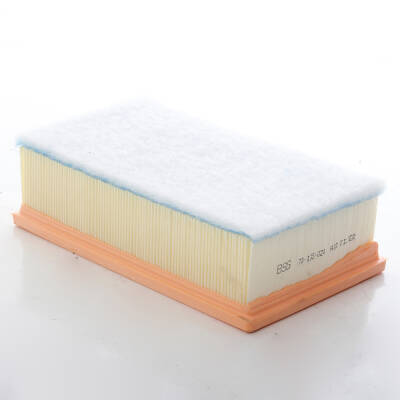 Peugeot 307 2.0 Hdi 135 Hava Filtresi - 1